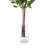 Globe Thistle Arranged in a Glass Vase