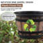 Paquet de 3 pots de plantes de 10 pouces