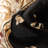 Doykos Fleur De Lis Traditional Oriental Black Plush Rug-99470839