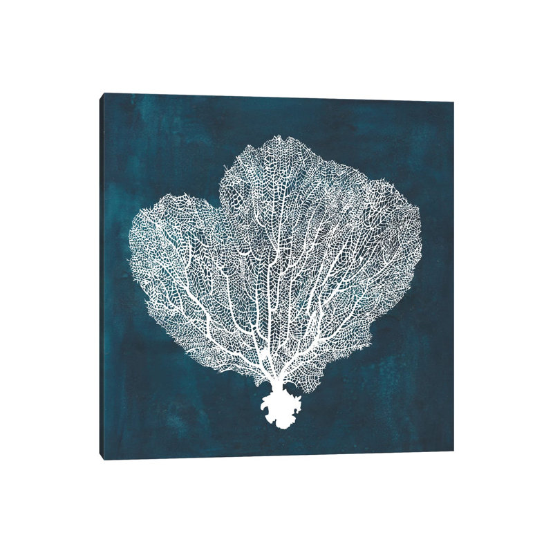 Inverse Sea Fan I by Grace Popp - Wrapped Canvas Print, 45.72 cm H x 45.72 cm W x 3.175 cm D