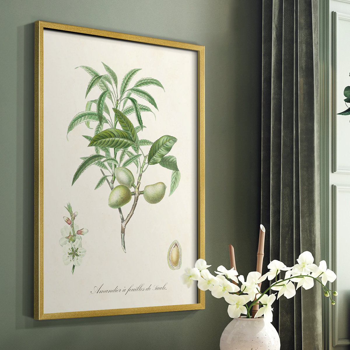 Winston Porter Antique Almond Botanical II Framed Print - Solid Wood ...