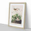 Lincoln Finch Birds by John Audubon - Picture Frame Painting Print-55617364-55617365