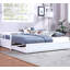 Adalgisa Solid Wood Daybed with Trundle