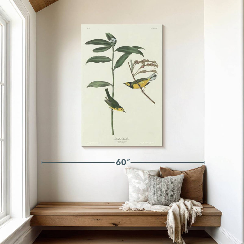 Keiri Hooded Warbler, 45" H x 30" W
