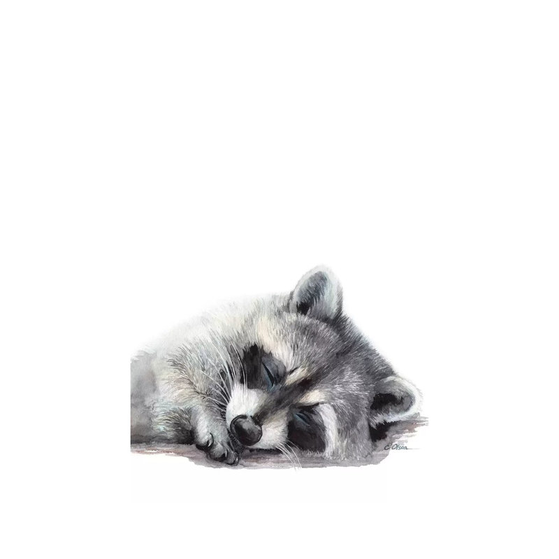 Woodland Sleeping Raccoon by Watercolor Luv - Wrapped Canvas Gallery-Wrapped Canvas Giclée, 20.32 cm H x 30.48 cm W