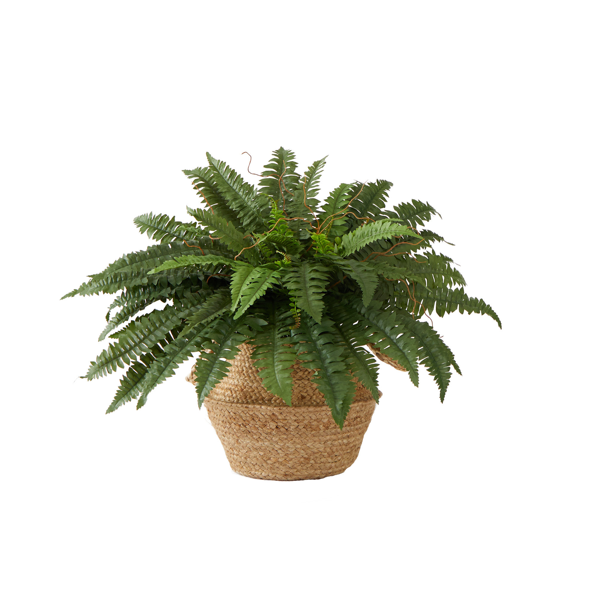Primrue Arago 20'' Faux Fern Plant in Cotton Basket & Reviews | Wayfair