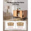 Litter Box Enclosure