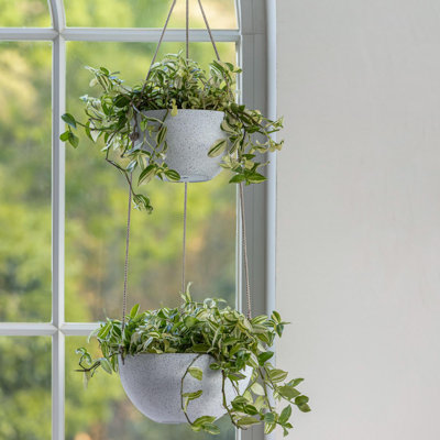 Aroara Hanging Planter