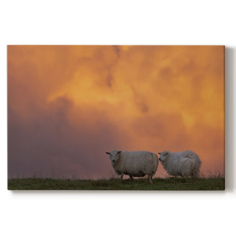 Dynamic Duo -Gallery Wrapped Cavas, 12X18