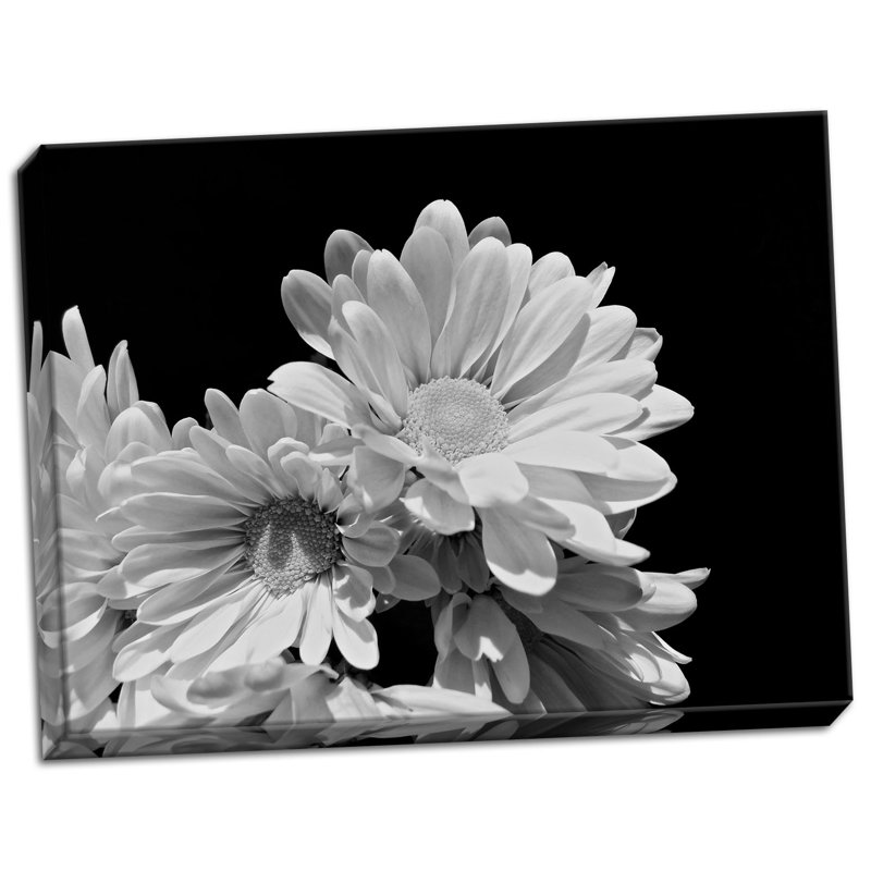 « cascade éblouissante bw ii », reproduction de photo sur toile tendue