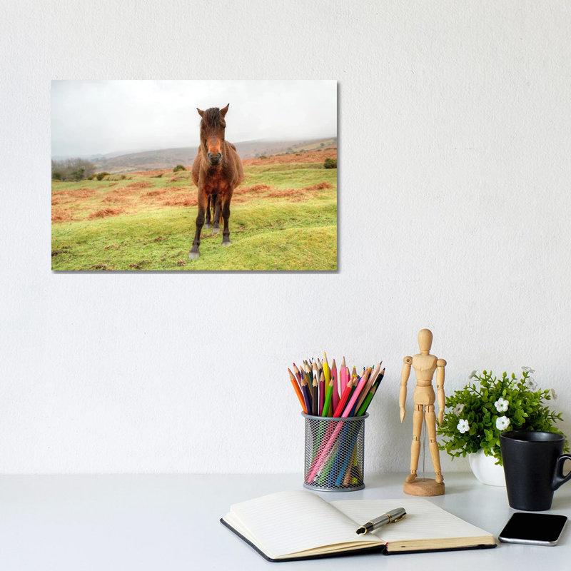 Stare Down by David Gardiner - Wrapped Canvas Print, 20.32cm H x  30.48cm W