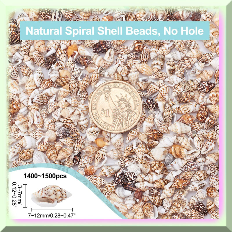 Ocean Spiral Seashells 1400-1500pcs Tiny Crushed Shells