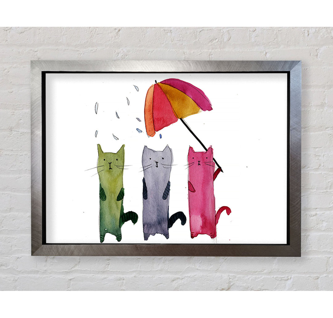 Regenschirm-Katzen - Druck