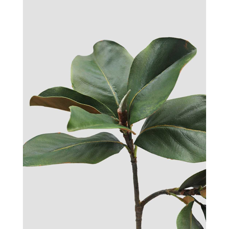 Faux Magnolia Branch