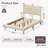 Samiha Upholstered Platform Bed with LED Lighting Headboard-979535120-978940311