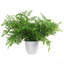 30cm Faux Fern Plant in Pot Liner-124905368