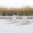 Holli Outdoor Chaise Lounge-2131250560
