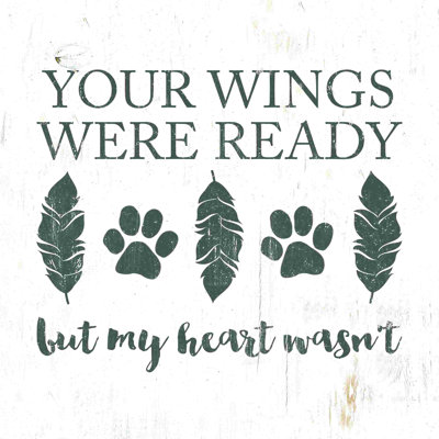 " Wings Ready Gray "
