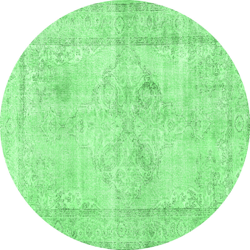 Oriental Indoor Rug
