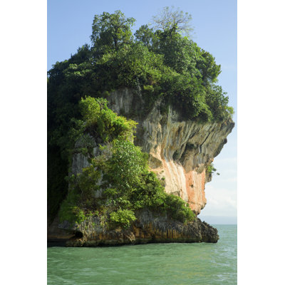 «Tropical Tropicalation on Rock» par Nancy C. Ross