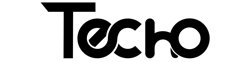 Logo Techo