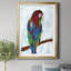 Perroquet tropical - cadre photo, reproduction d'art sur papier-597728930-597728941