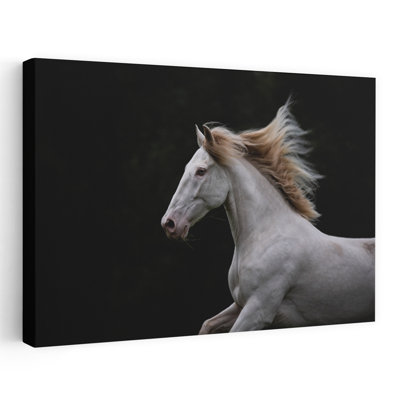 Art mural majestueux avec cheval blanc contemporain majestueux