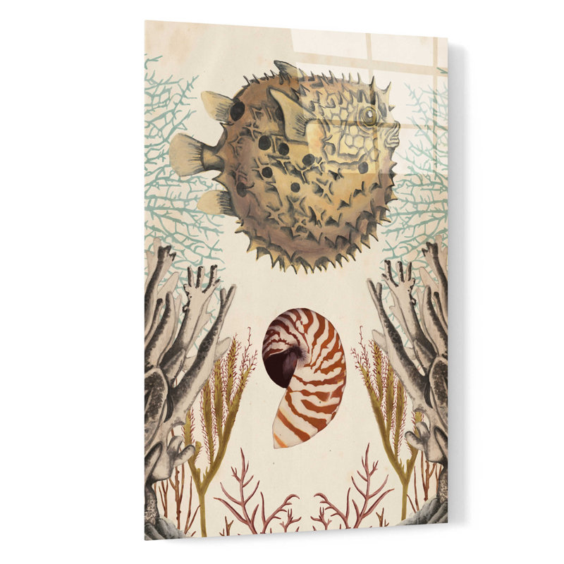 Epic Art 'Antiquarian Menagerie-Puffer Fish' By Na " Antiquarian Menagerie-Puffer Fish " by Naomi McCavitt