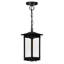 Luminaire suspendu d'extérieur noir 1 lumière Oakwood
