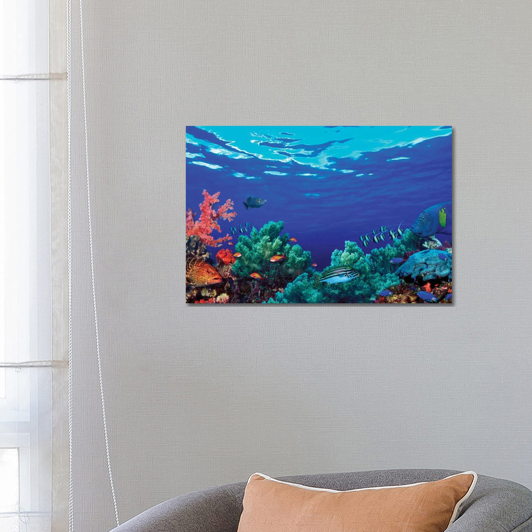 Underwater Coral Reef Community - Wrapped Canvas Print