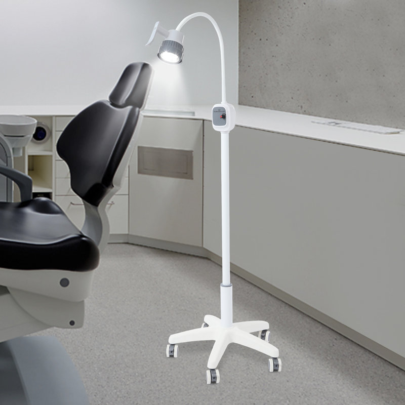 Lampe d'examen médical, lampe d'examen chirurgical DEL sur pied avec roulettes pour clinique, hôpital vétérinaire et chirurgie esthétique