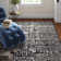 Mosheim Oriental Indoor Rug