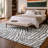 Premium Machine Washable Dream Shag Zebra Rug-1624837573-1624837583