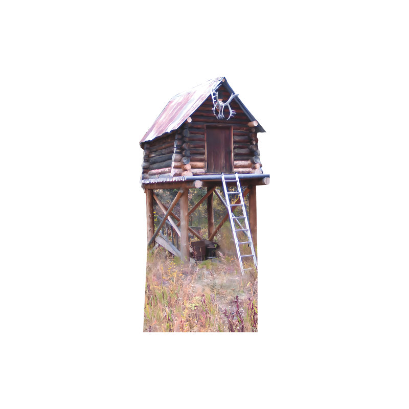 SP13266 Cabane de chasse à Moose Creek