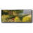 Spring in Holland- Framed Canvas