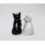 Couple de chat valentine sel et poivre