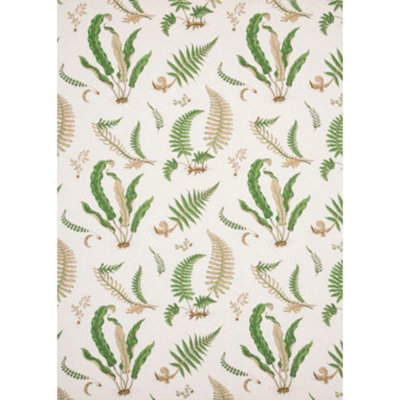 Ferns Fabric