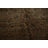 Agra Oriental Area Rug 8x10
