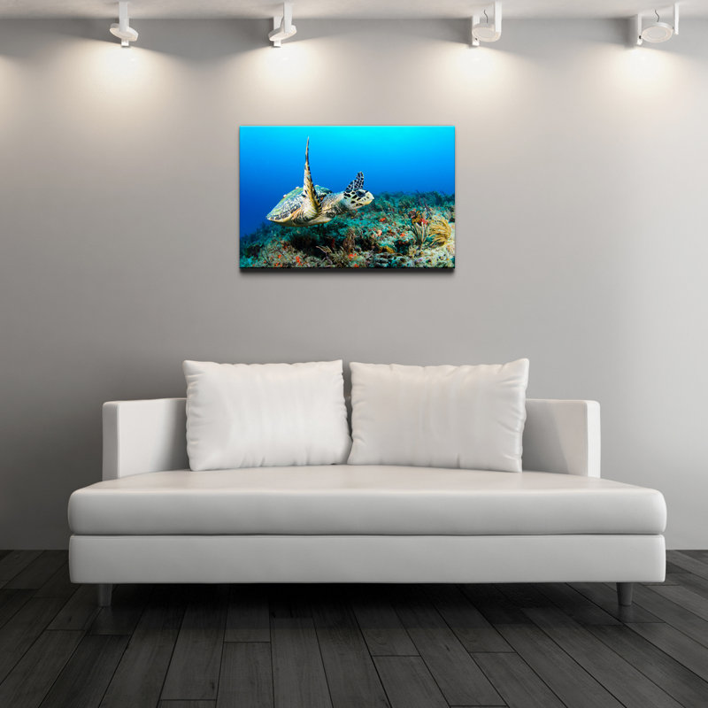 « hawksbill », reproduction de photo sur toile
