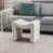 Ourson blanc est en rupture de stock
