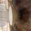 Photos des clients 2 de 3