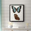 Papillons bleus antiques IV, toile encadrée de qualité supérieure - prête à être accrochée-1977291137-1977291140