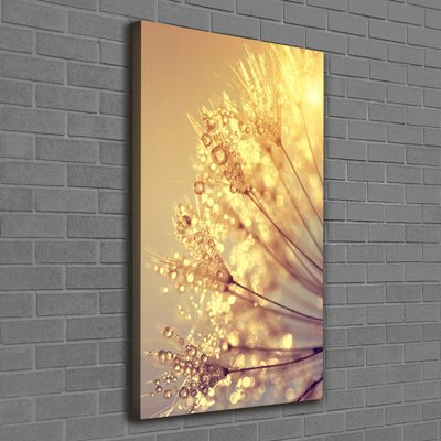 Dandelion Seeds - Wrapped Canvas Print