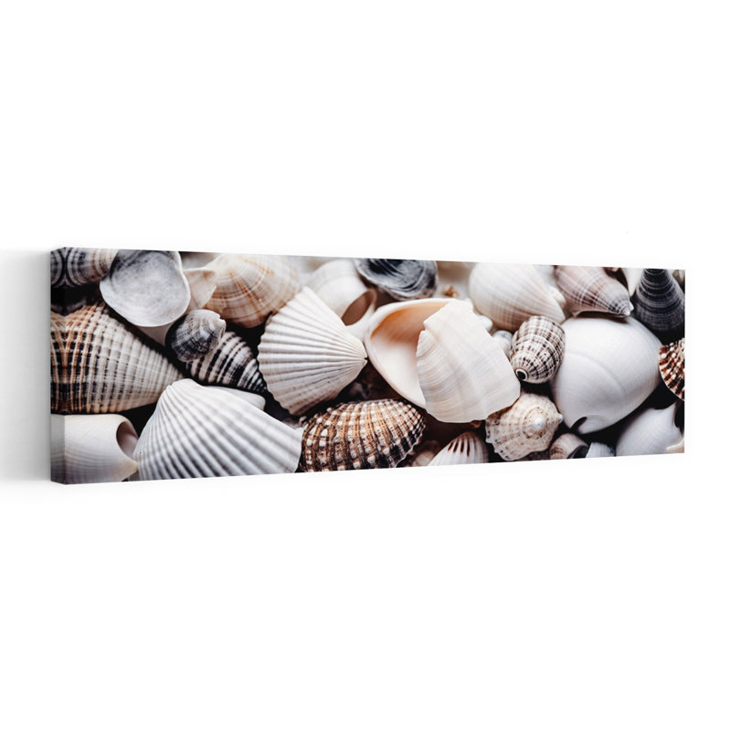 Seashell, symphonie abstraite, art mural côtier contemporain organique, H 20 po x l 60 po