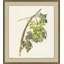 Vineyard Grapes Impression 4 Print by Nathan Turner