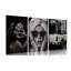 3 Piece Wrapped Canvas Print-2076578317