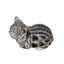 Animals Polyresin Garden Statue-1480053058