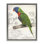 "Lorikeet", croquis de nature noire encadrée sur toile flottante par Connie Resch
