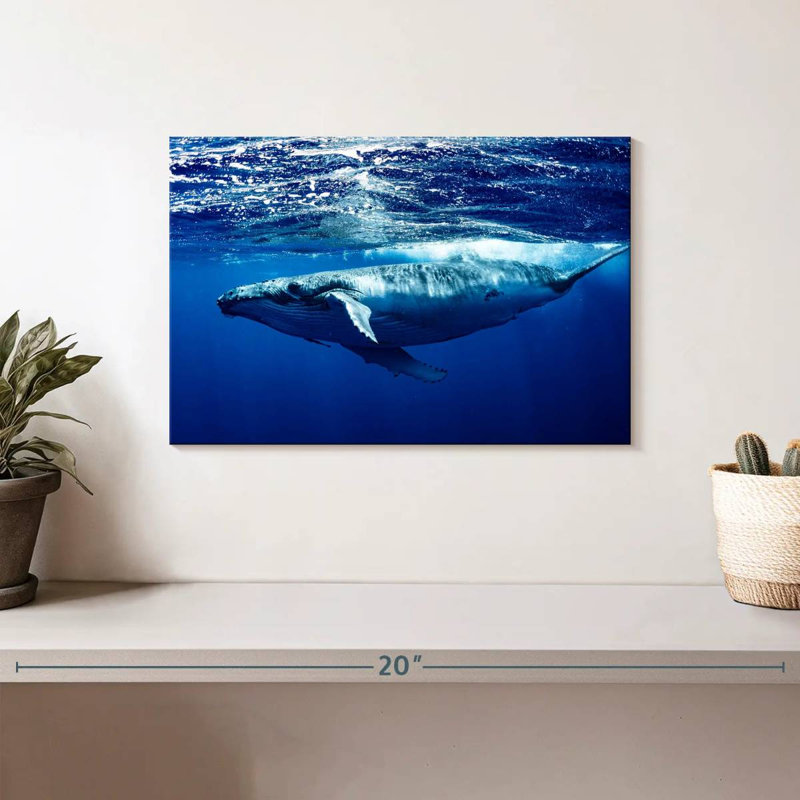 Brampt Humpback Whale Below Surface, 8'' H x 12'' W