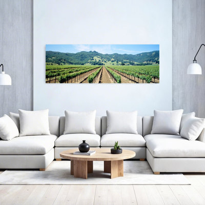 Napa Valley Vineyard Hopland, Ca, paysage abstrait contemporain, art mural printanier